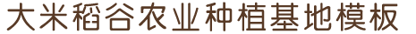 快盈lV500-主页